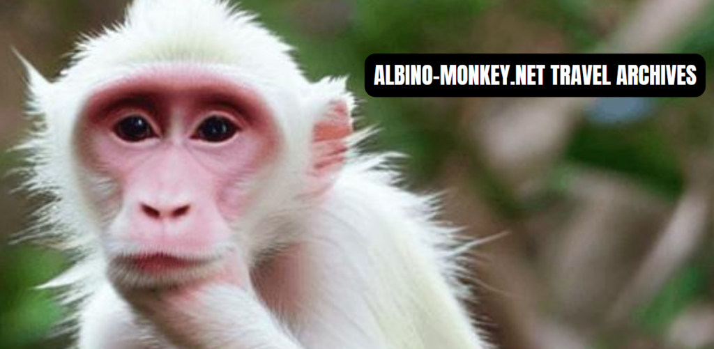 albino-monkey.net travel archives